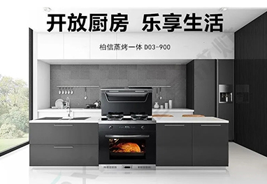 集成灶品牌